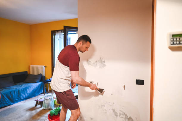 Best Residential Mold Remediation in Versailles, OH